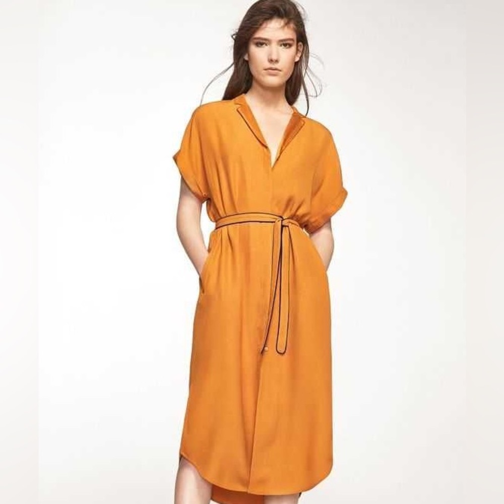 Massimo Dutti Dress